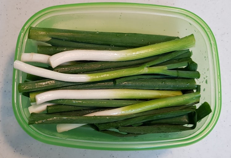 "데비마이어 그린박스" 사용 후 버리는 음식이 없어졌어요! 냉장고 속 혁명템 사용 후기!