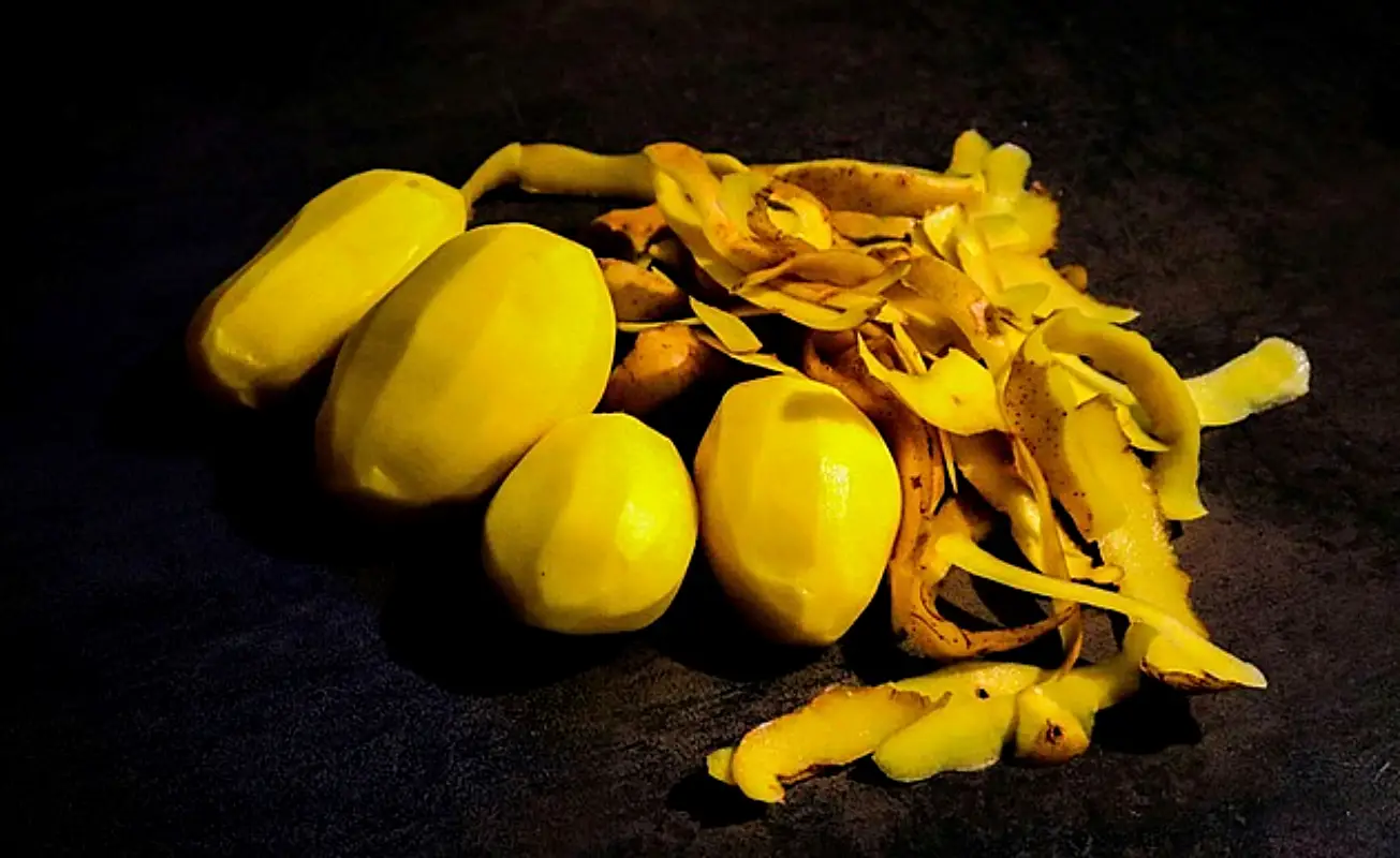 감자 냉동보관법