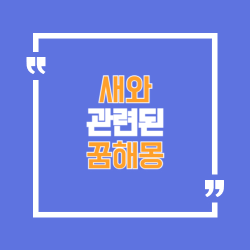 참새꿈, 백조꿈, 독수리꿈, 까마귀꿈, 흰색 새등 여러가지 새와 관련된 꿈해몽