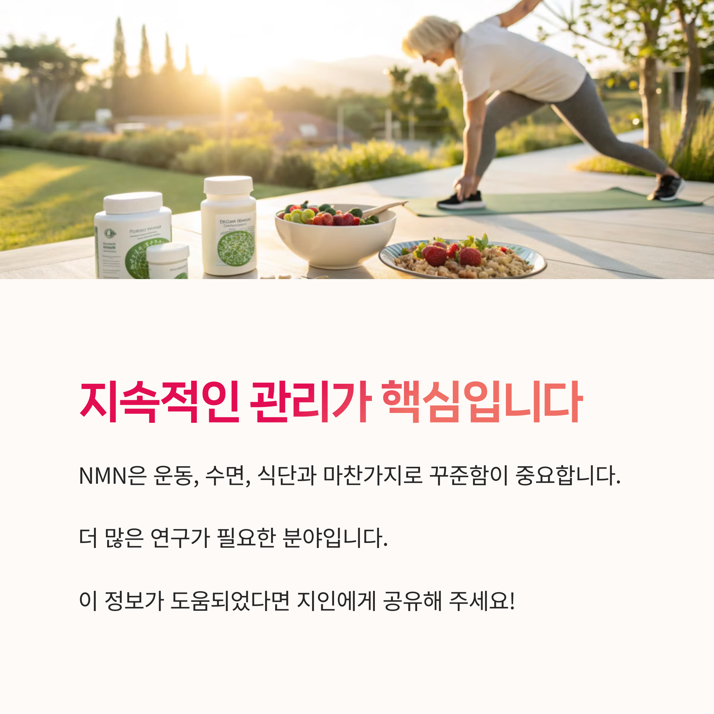 NMN임상결과