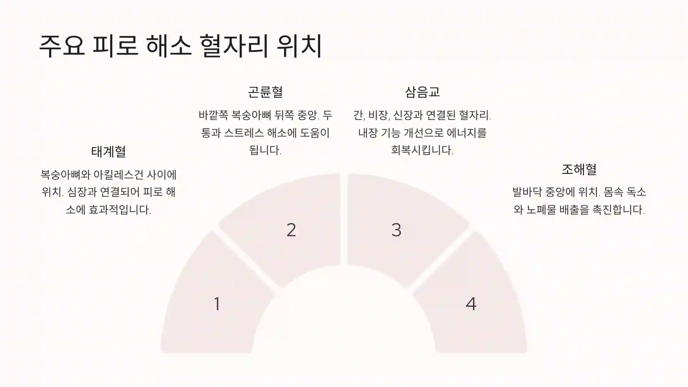 주요 혈자리 위치