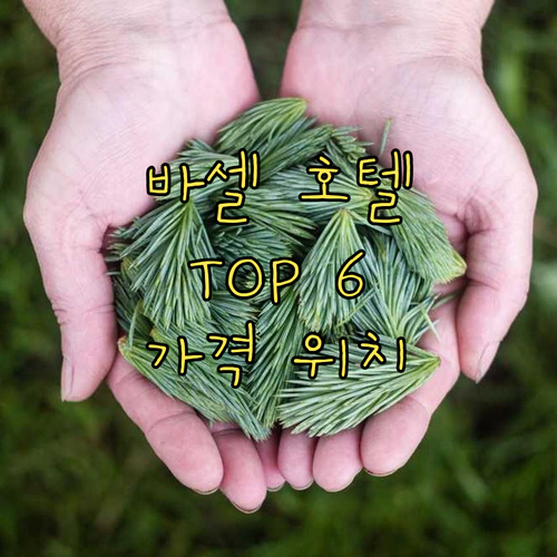 바르셀로나 호텔 Top 6 위치, 가