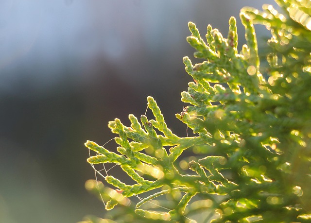월급 관리하는 가장 현실적인 방법