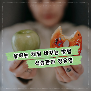 살찌는 체질 바꿀 수 있을까? 살찌는 체질 바꾸는 방법 [ 식습관, 장유형 ]