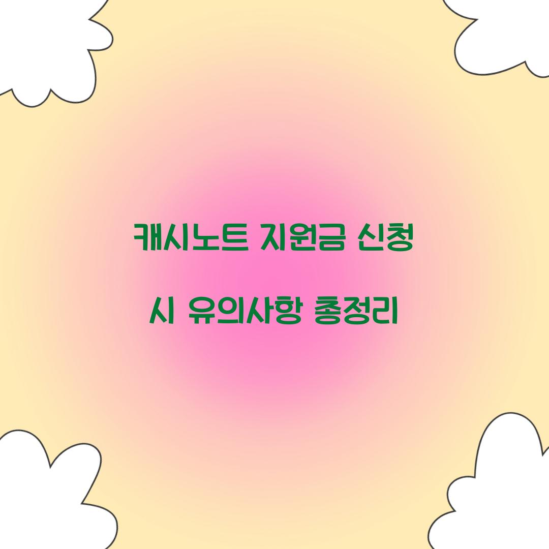 캐시노트 지원금
