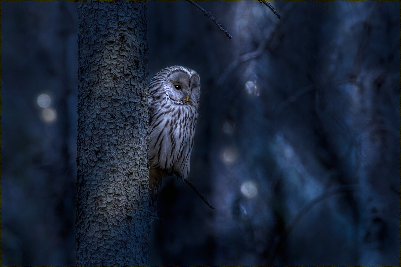 기업은행 정기예금 금리