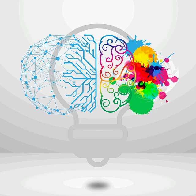 창의성 중심 교육의 실제 사례와 적용 방법