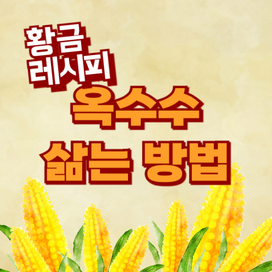 옥수수 삶는 방법 시간 황금 레시피