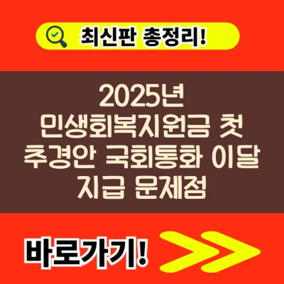 2025년 민생회복지원금 첫 추경안 국회통화 이달 지급 문제점