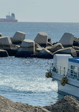 태종대 유람선 타는 곳&amp;#44; 시간표&amp;#44; 예약 방법