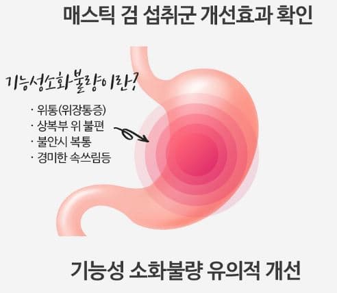 매스틱 효능