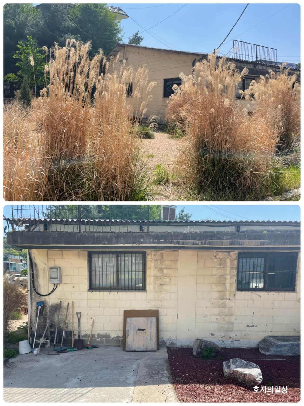 평택 카페&베이커리 맛집 커피냅로스터스HQ - 매장 정원