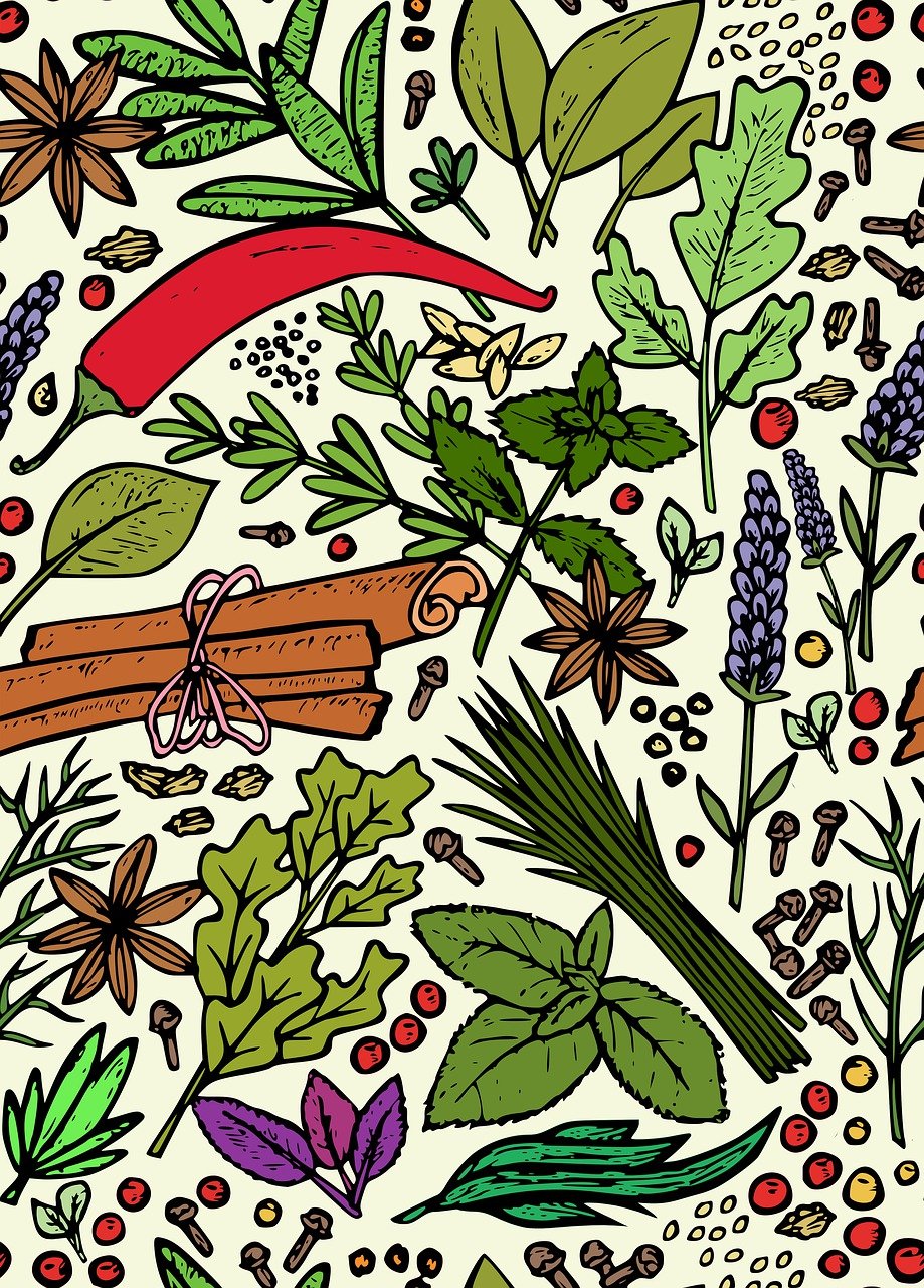 고사리 효능 관련 사진