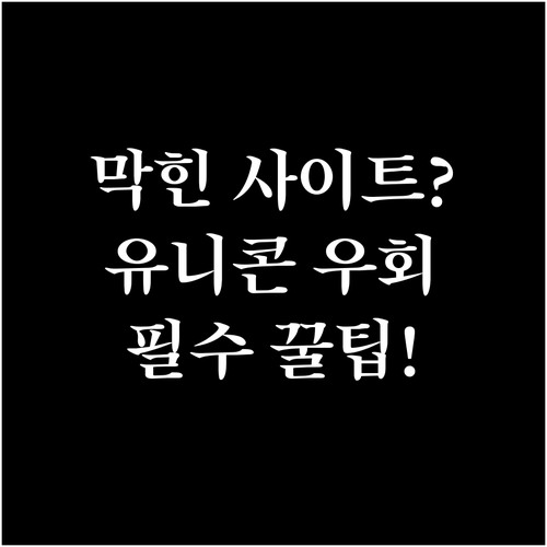 SNI 차단 우회로 막힌 사이트 접속..