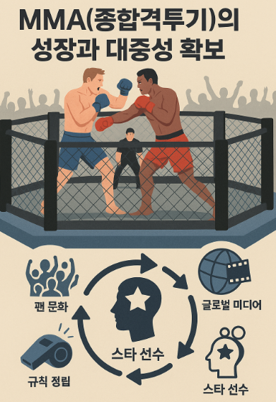 MMA 격투기 관련 사진