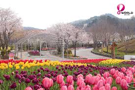 대전 가볼 만한 곳