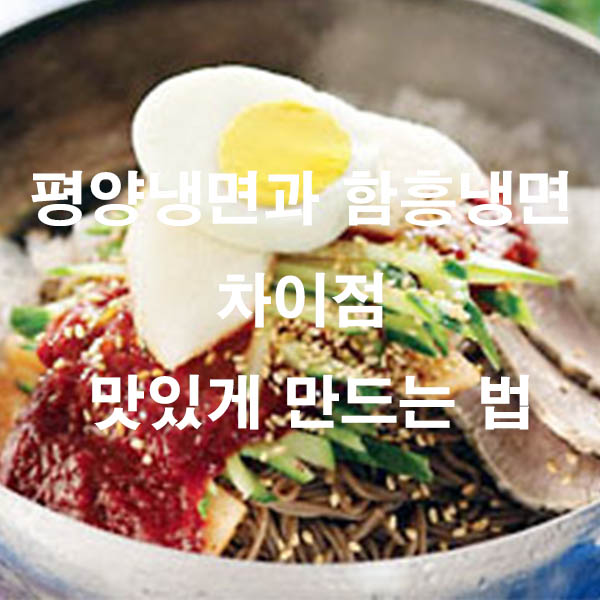 평양냉면과 함흥냉면 차이점 맛있게 만드는 법