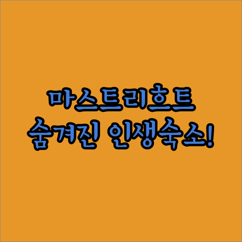 마스트리흐트 여행의 질을 높여줄 숨겨..