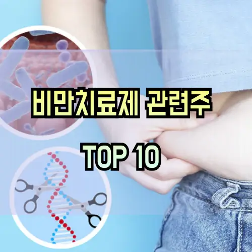 비만치료제-관련주