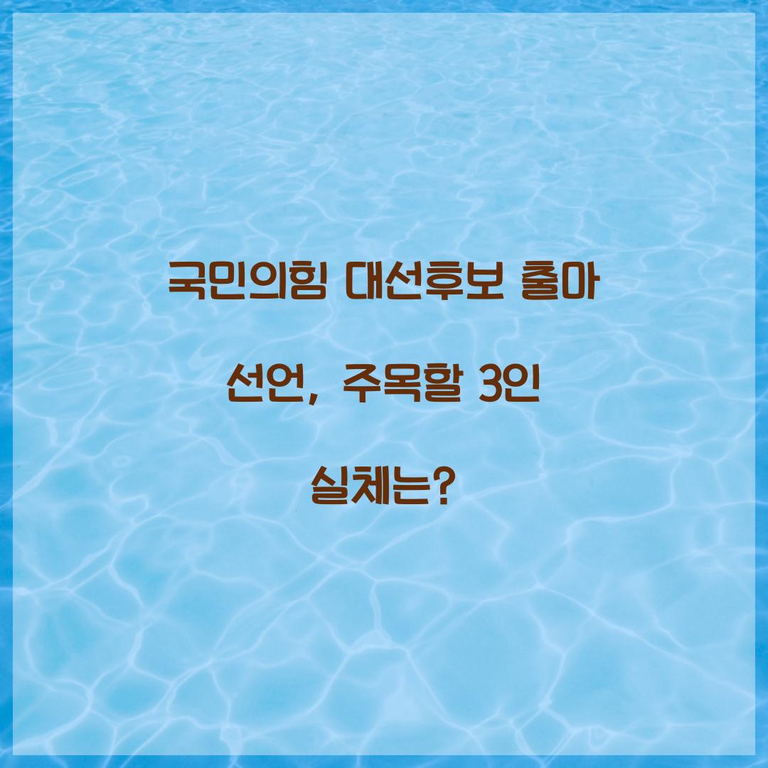 국민의힘 대선후보 출마 선언