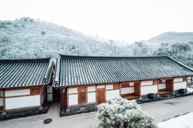 전통과 현대가 공존하는 특이한 직업들
