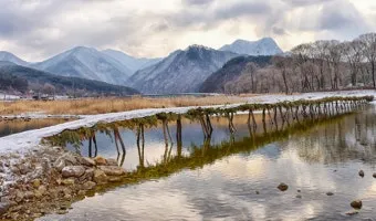 영월 섶다리마을의 강가 시간 여행 산책길 경험기_18