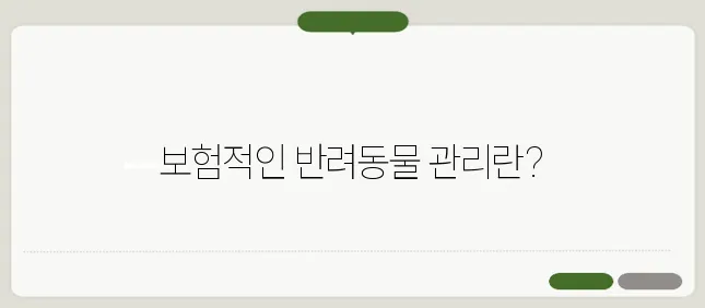 강아지와 고양이를 위한 변비약과 반려동물 영양제, 갈락토스펫을 추천합니다!