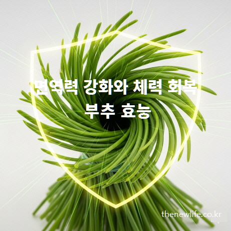 부추 효능 – 면역력 강화와 체력 회복에 도움을 주는 비타민과 알리신