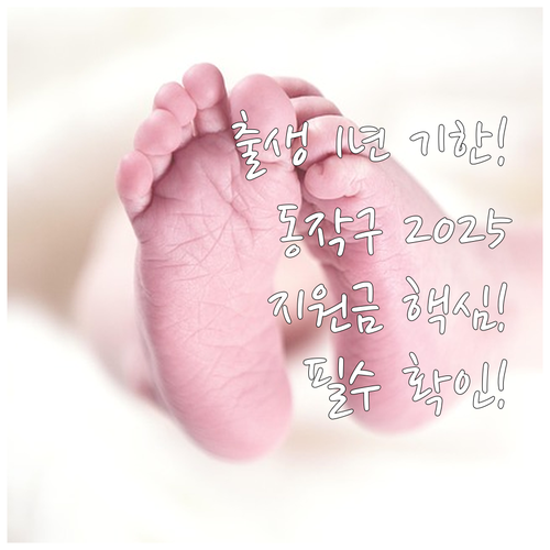 출생 신고 후 1년 이내 2025 동..