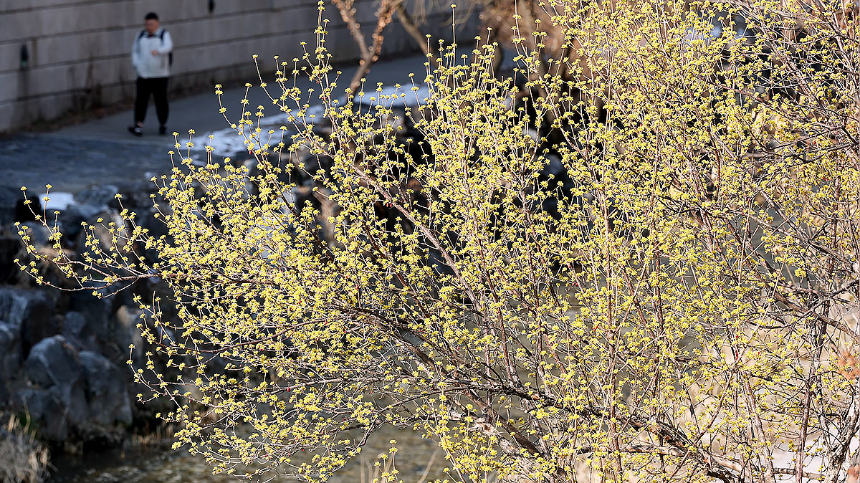 계절의 변화를 세분화한 24 절기 중 '춘분' 이해하기