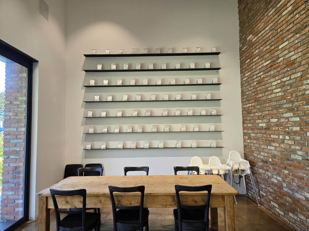 가평 나무아래오후