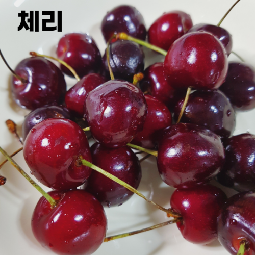 수면에-좋은-음식