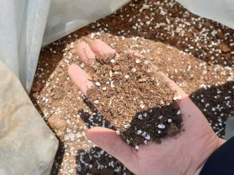 마사토 배합 비율 배수력개선 분갈이기본 시니어도 쉽게_9