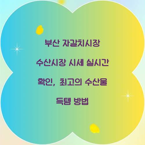 부산 자갈치시장 수산시장 시세 실시간 확인