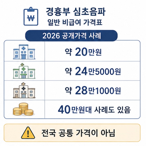 2026년 경흉부 심초음파 일반 비급여 가격이 의료기관별로 약 20만원부터 40만원대까지 차이가 날 수 있음을 보여 주는 그림