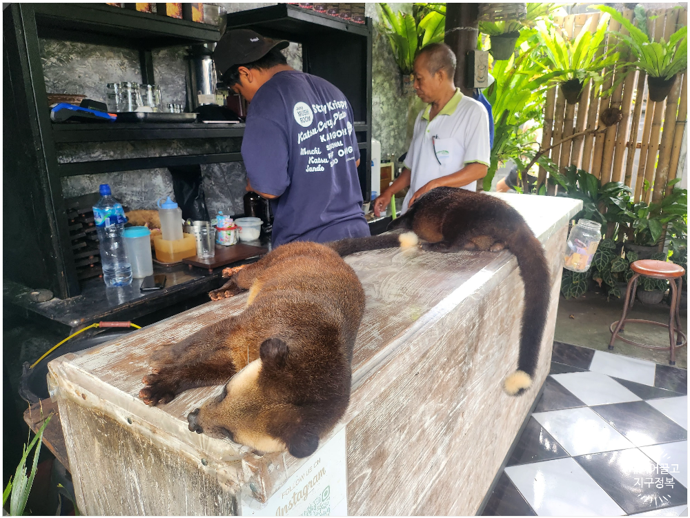 Bali Tanah lot Temple