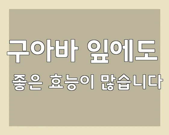 구아바 잎에도 좋은 효능이 많습니다