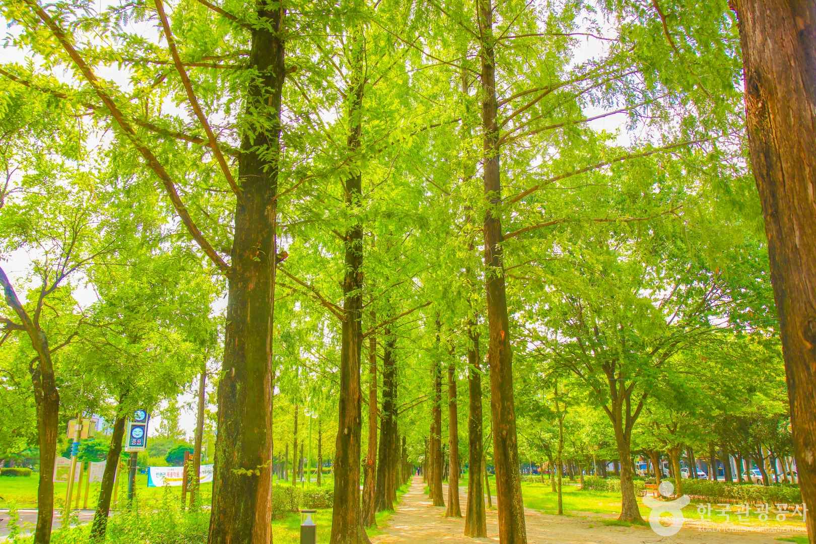 대구 호산공원