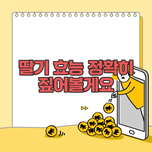 딸기 효능 정확히 짚어볼게요