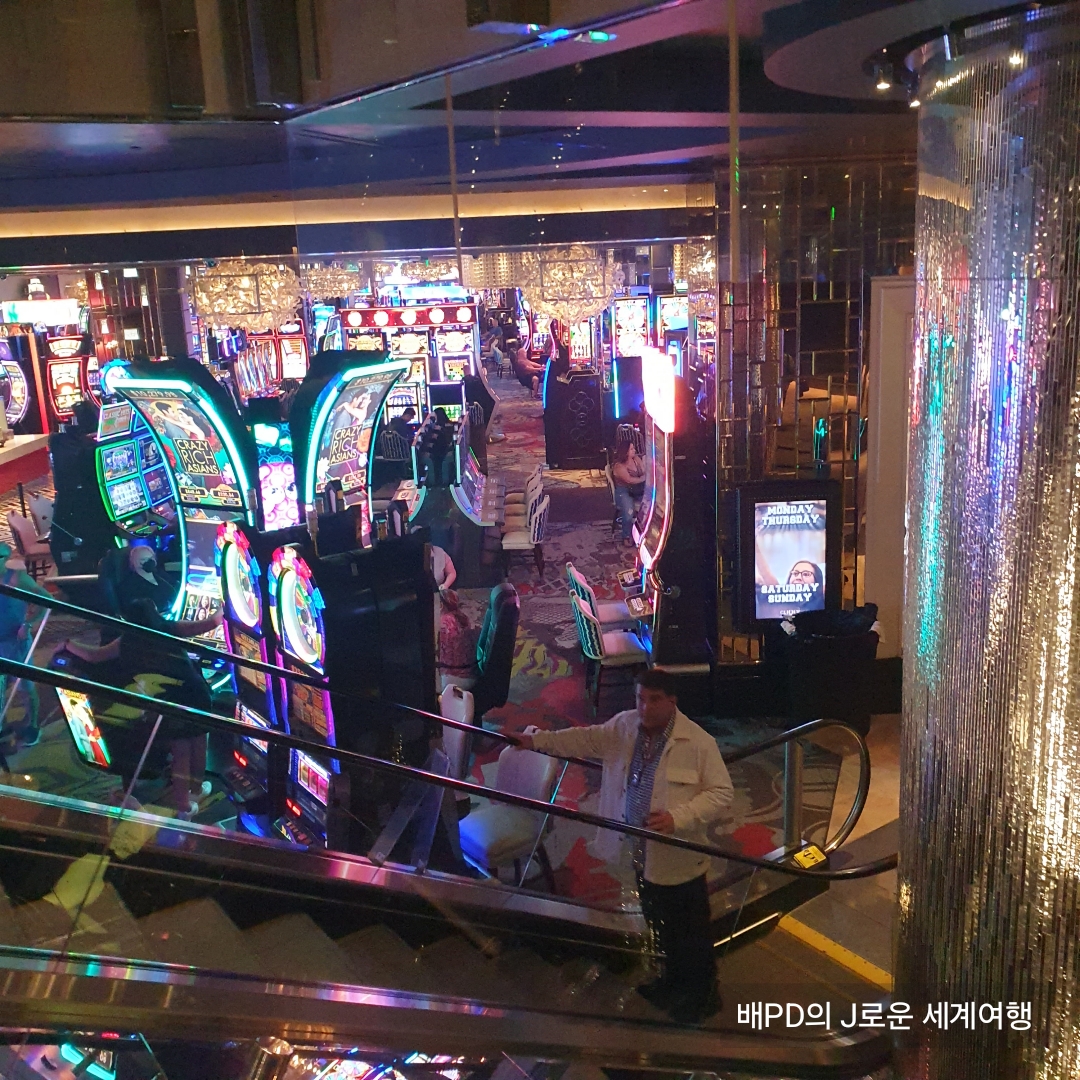 라스베가스 호텔 코스모폴리탄 파운틴뷰 후기 추천