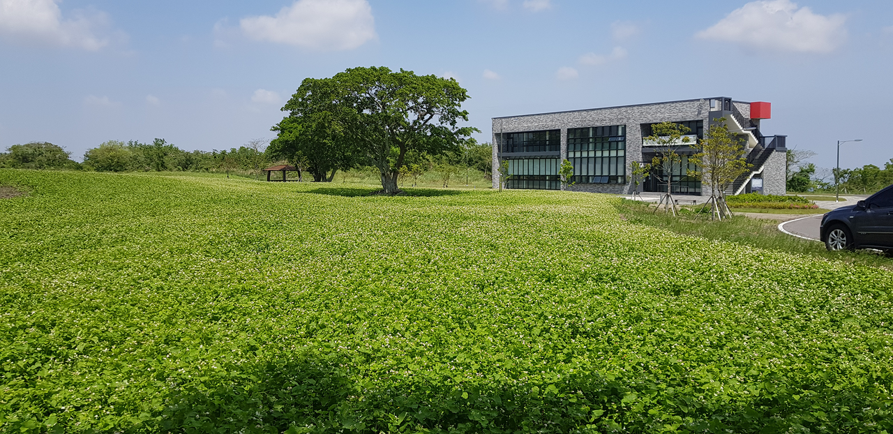 제주 와홀메밀마을