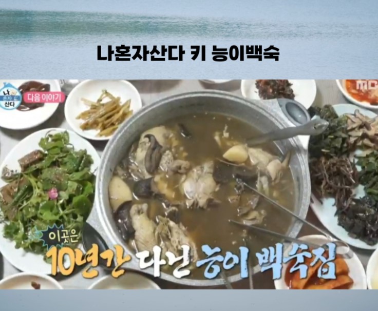 나혼자 산다 키 힐링 여행 능이 닭백숙