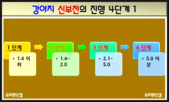 강아지 신부전에 좋은 음식 추천_9