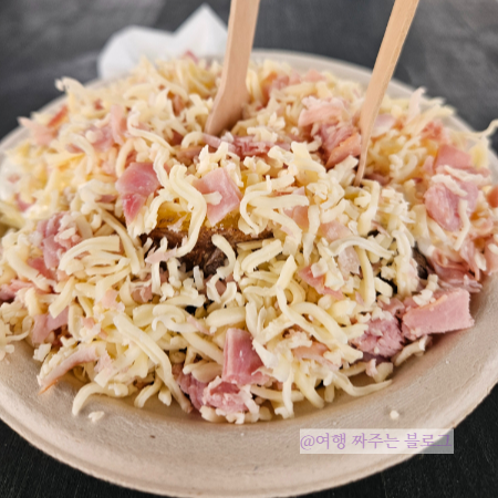 #비엔나여행 #빈여행 #비엔나4박5일 #비엔나여행경비 #비엔나여행코스