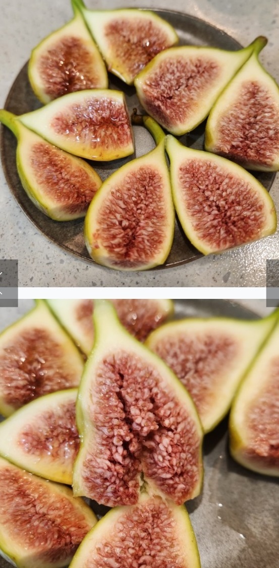 동네한바퀴-영암-재래종-무화과-