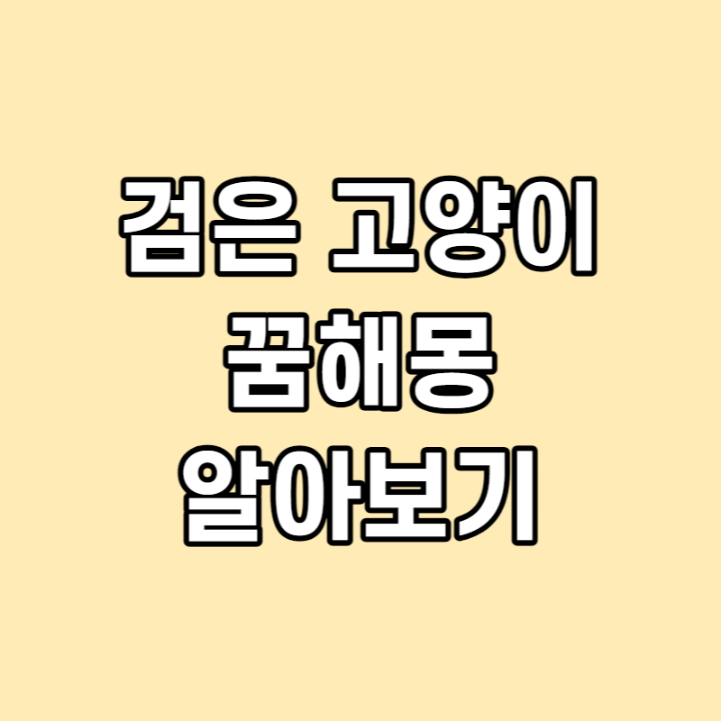 검은 고양이 꿈 해몽 알아보기 썸네일