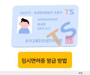 임시면허증 발급