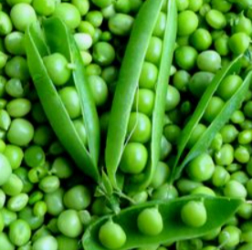 안구 건강에 좋은 채소 사진