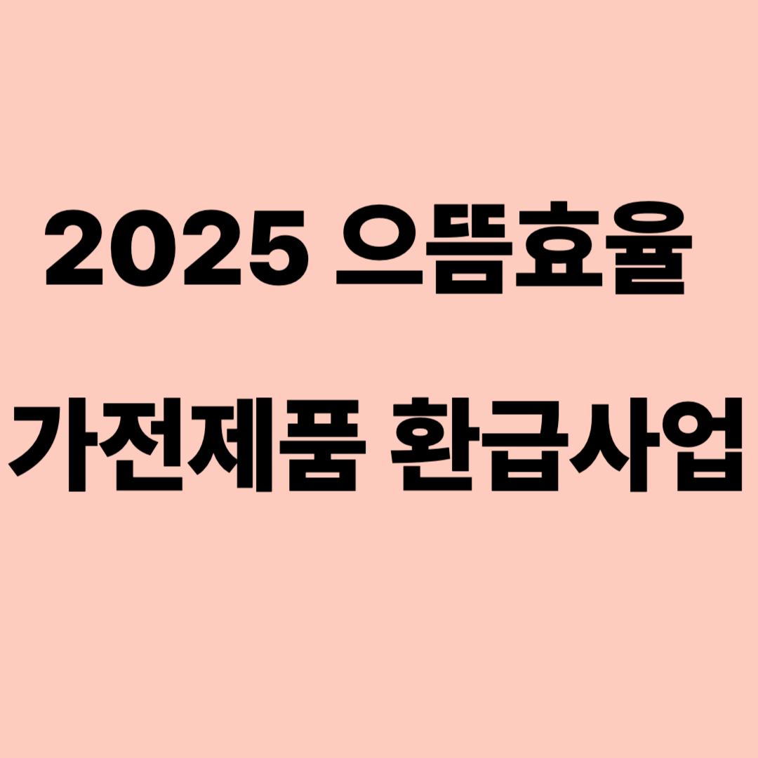 으뜸효울 가전제품 환급사업 설명