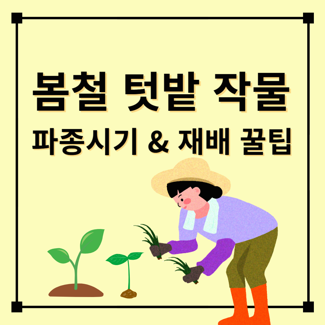 3월4월5월 봄철 텃밭 작물 파종시기, 재배 꿀팁